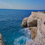 بكميرا عامر بركات