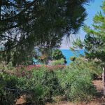 تصوير عامر بركات